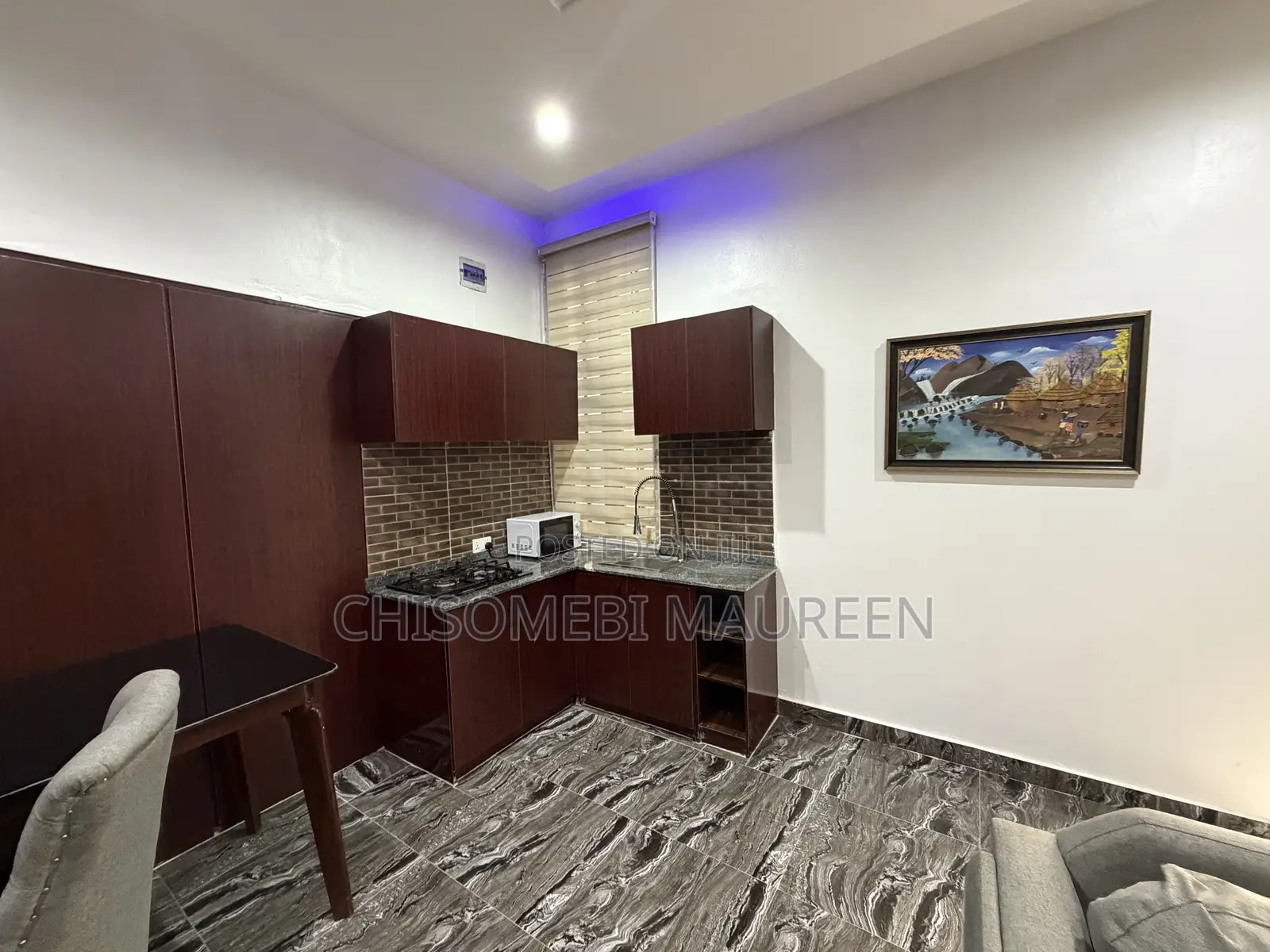 Furnished 1bdrm Bungalow in Garki for rent in Garki