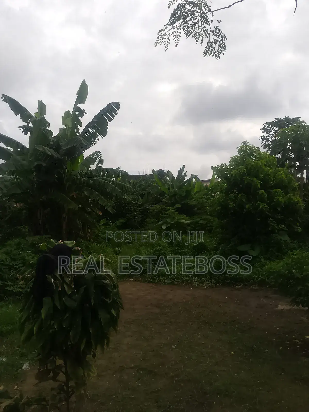 Sales an Leasing in Uyo
