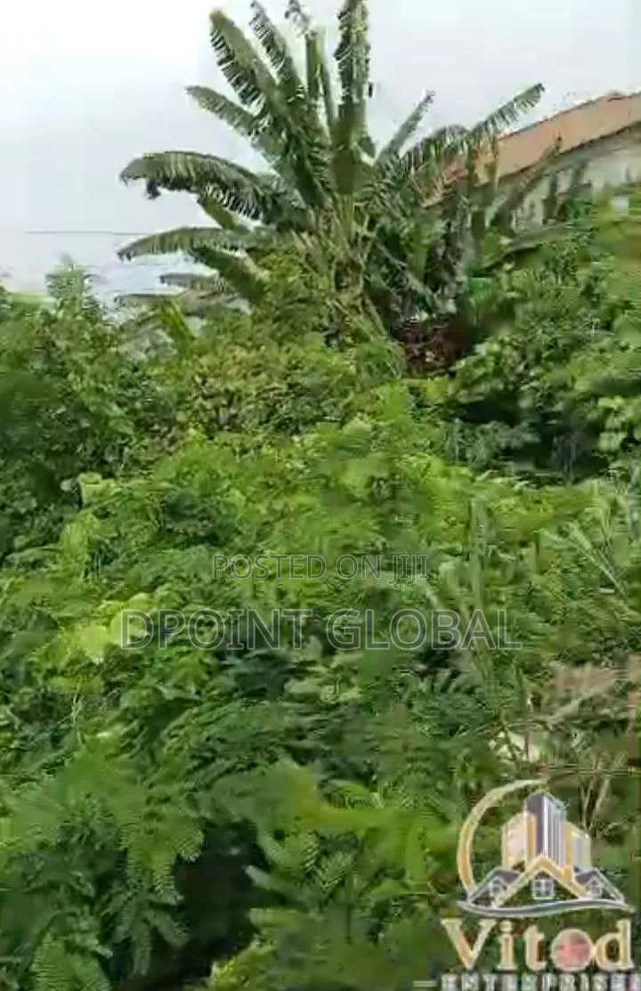 A Full Plot of Land Along Command Tarred Road in Ipaja Road