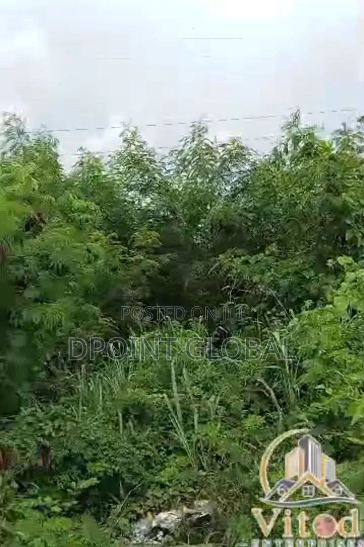 A Full Plot of Land Along Command Tarred Road in Ipaja Road
