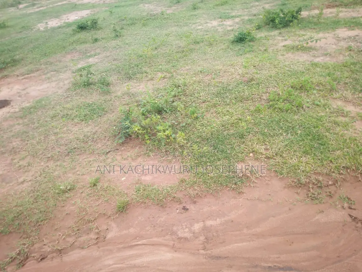 Seman Royal Residence in Kubwa