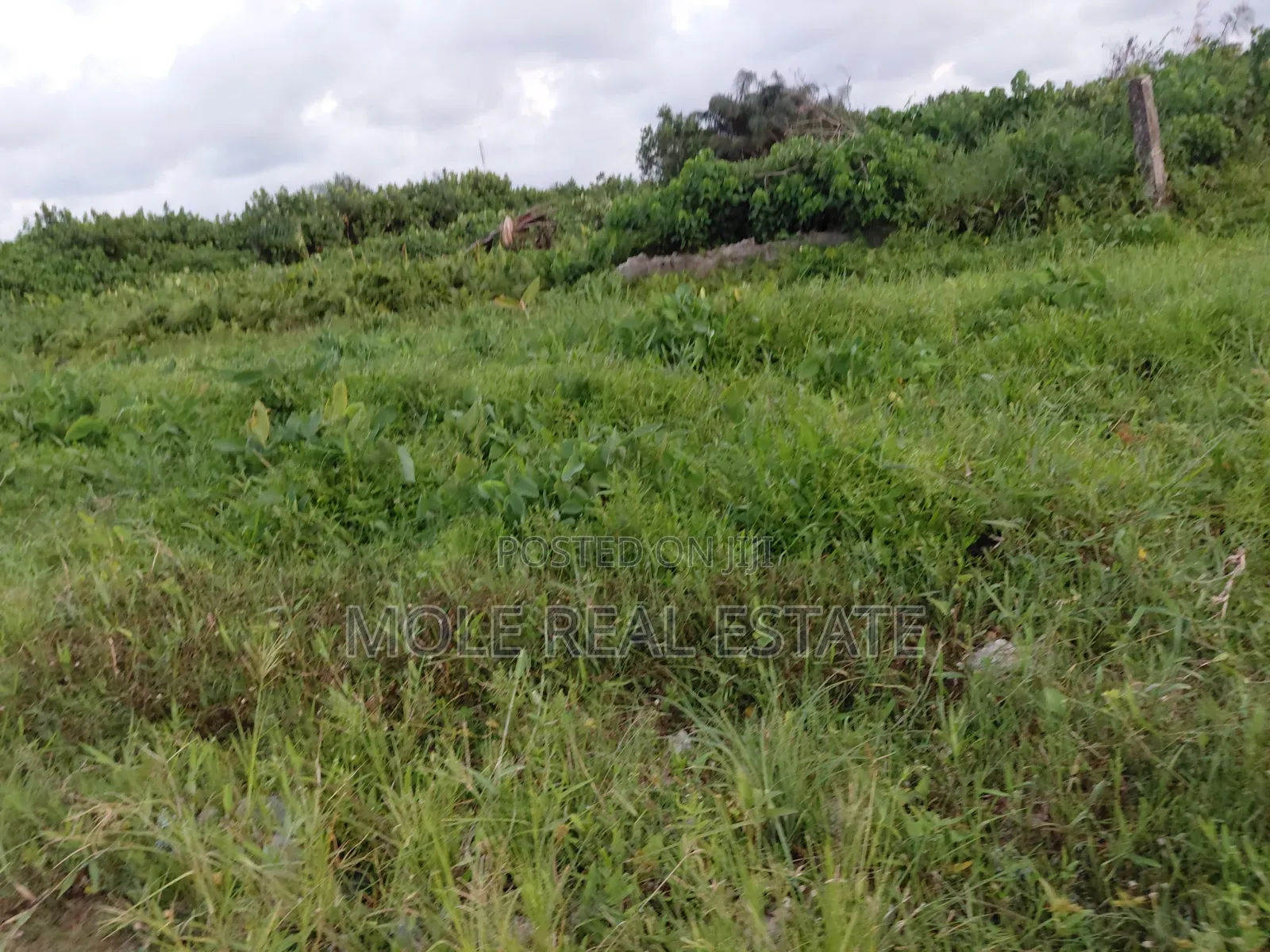 1100sqm Joint Venture (Jv) Admiralty Lleki Phase 1 Lagos in Lekki Phase 1
