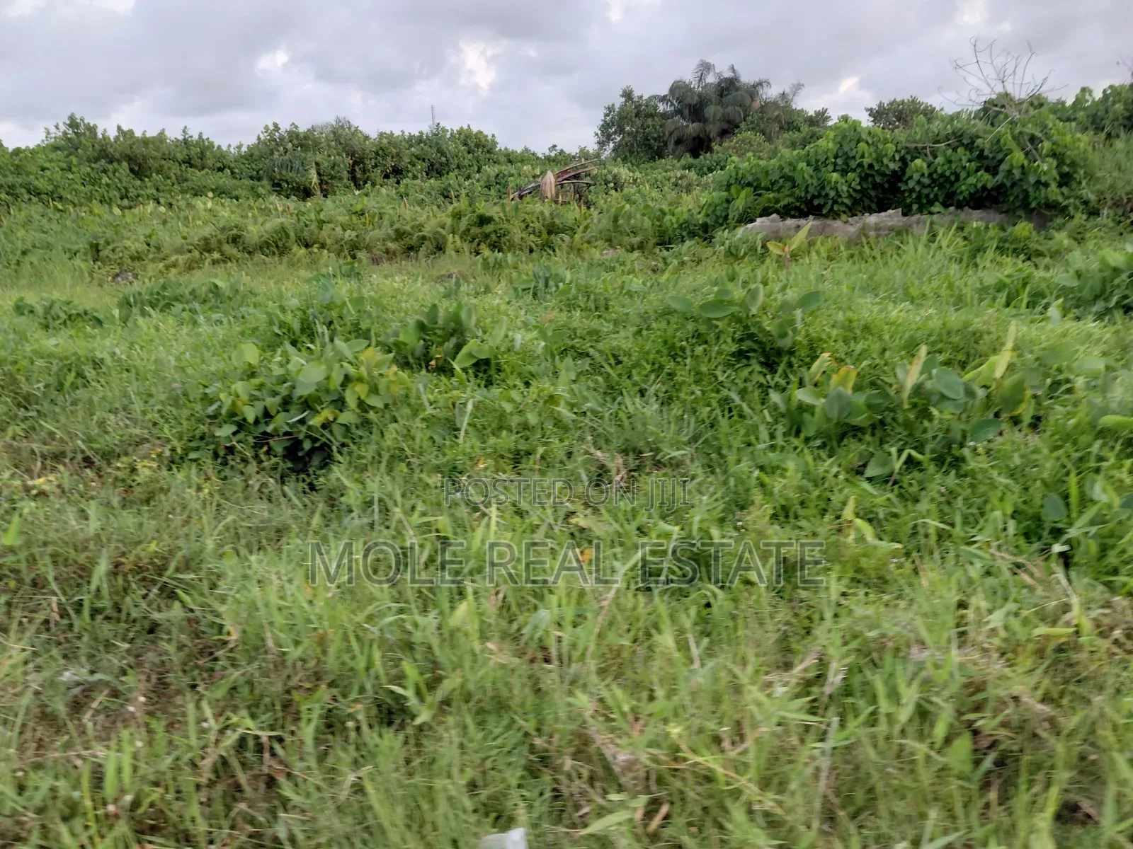 1100sqm Joint Venture (Jv) Admiralty Lleki Phase 1 Lagos in Lekki Phase 1