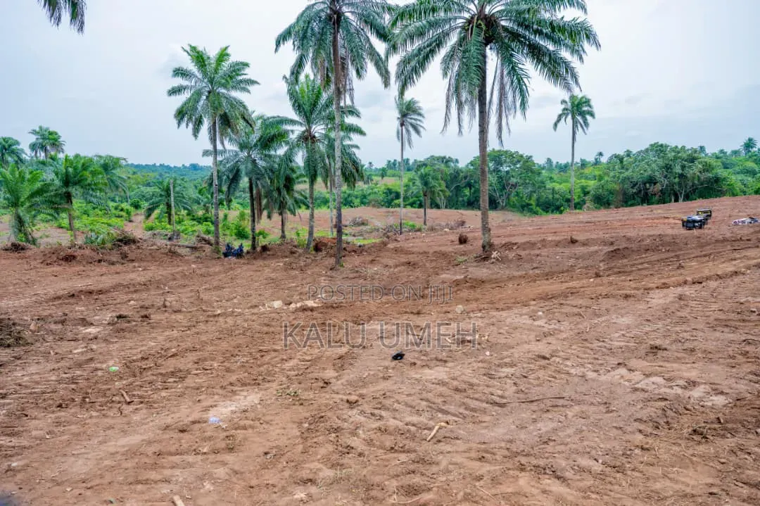 2 Bedroom Terrace Duplex in Idu Industrial