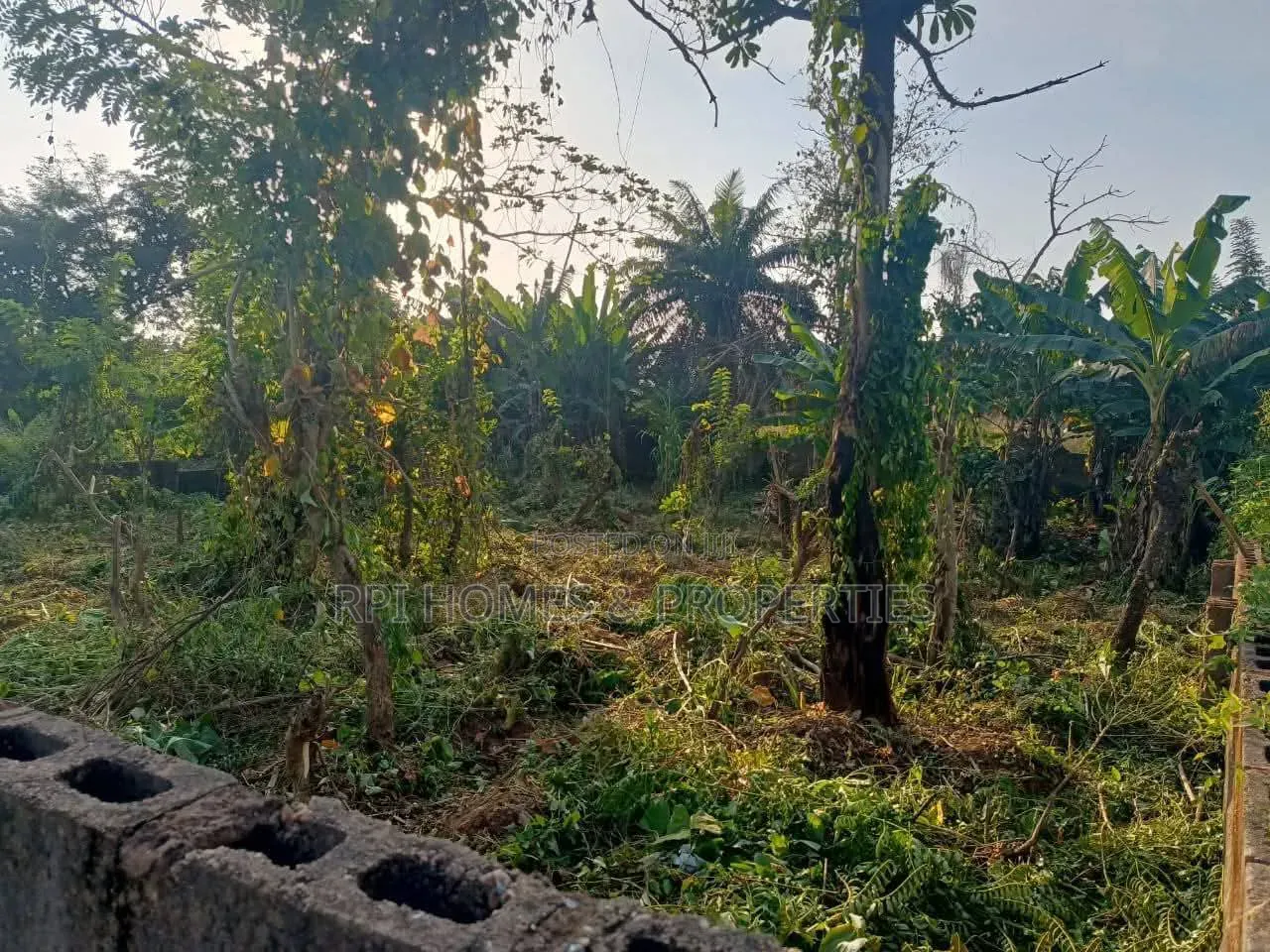 60:120 Full Plot of Land for Sale in Ado Ekiti