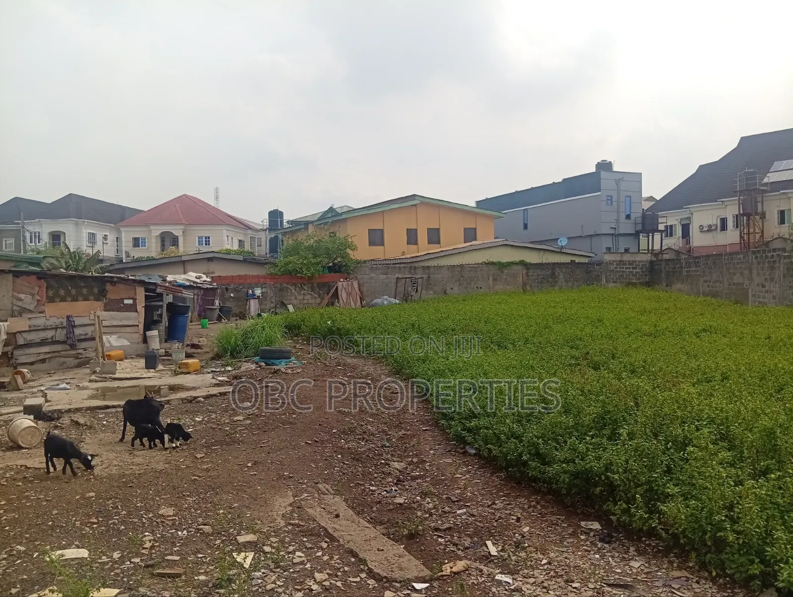 920 SQM Dry Land Fenced With Gate in Atunrase Medina