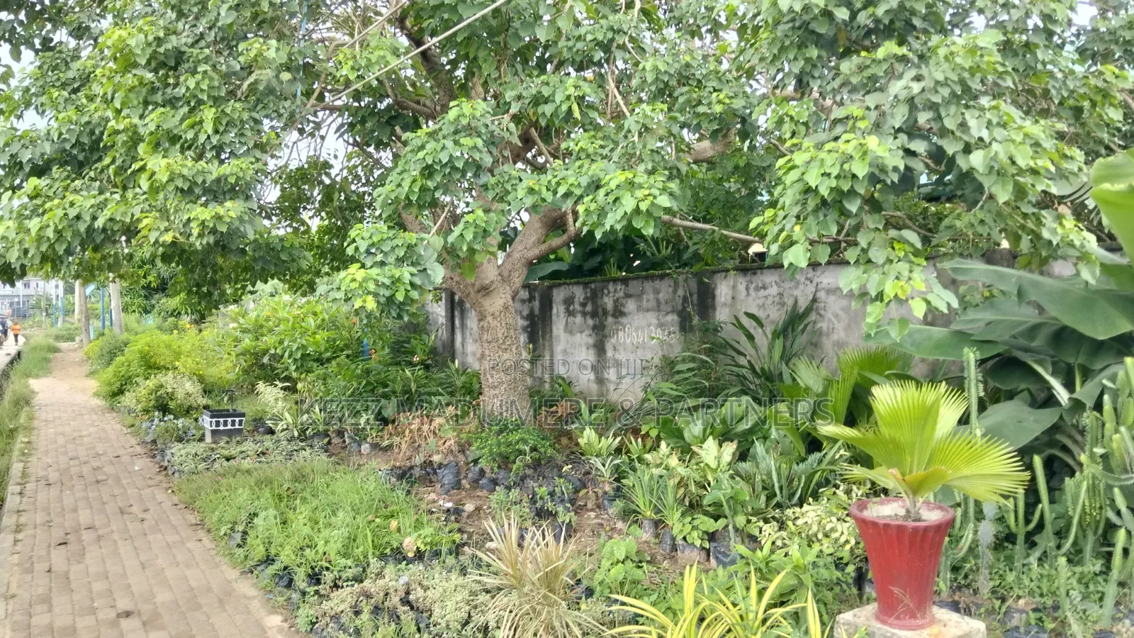 For Sale : Cofo Cornerpiece 4 Plots at Bank Road, Umuahia Abia State in Umuahia