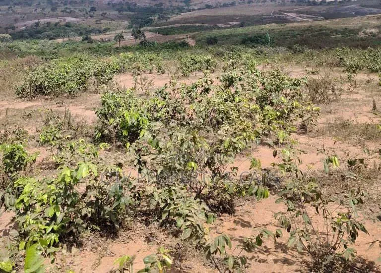 100 Hectares
Of Land for Sale at Guzape 2 Abuja in Guzape District