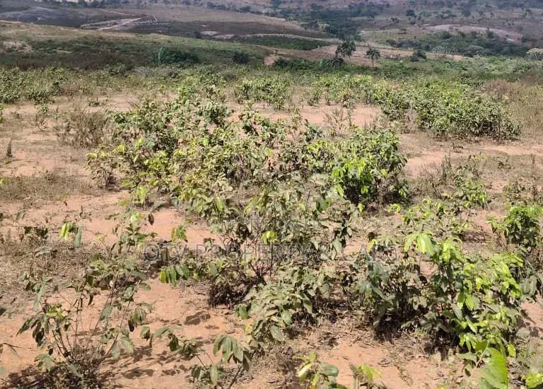 100 Hectares
Of Land for Sale at Guzape 2 Abuja in Guzape District