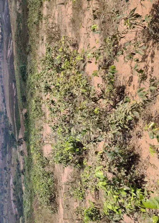 100 Hectares
Of Land for Sale at Guzape 2 Abuja in Guzape District