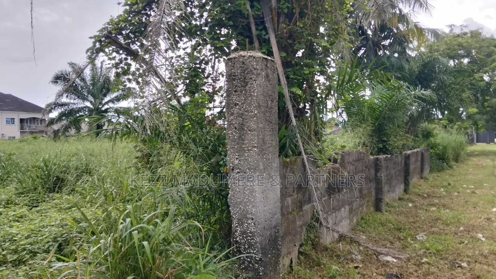 For Sale : Cofo Fenced 13 Plots of Land at Rumudomaya, Ph in Ruuodomaya
