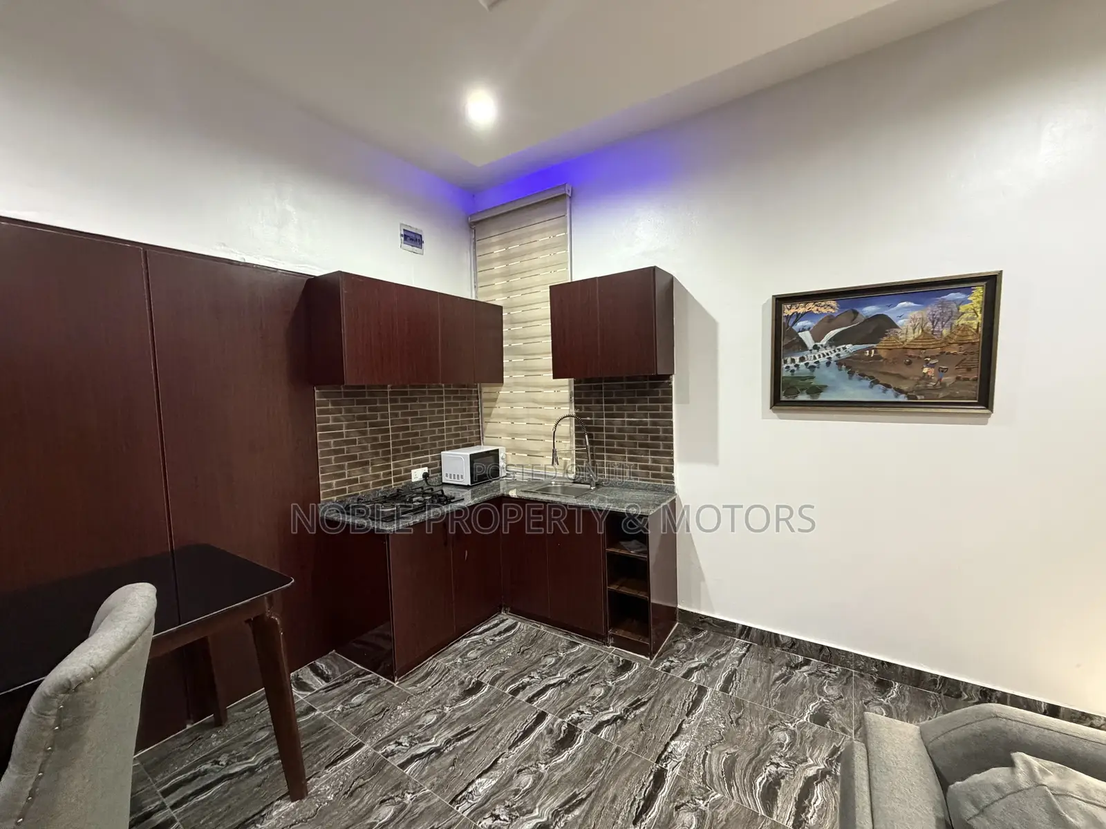 Furnished Studio Apartment in Garki for rent in Garki