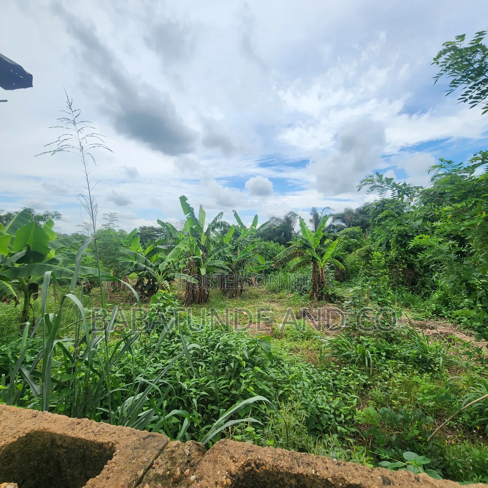 An Acre of Land With 4 Fish Ponds for Lease at Omi Adio Ibadan in Omi Adio