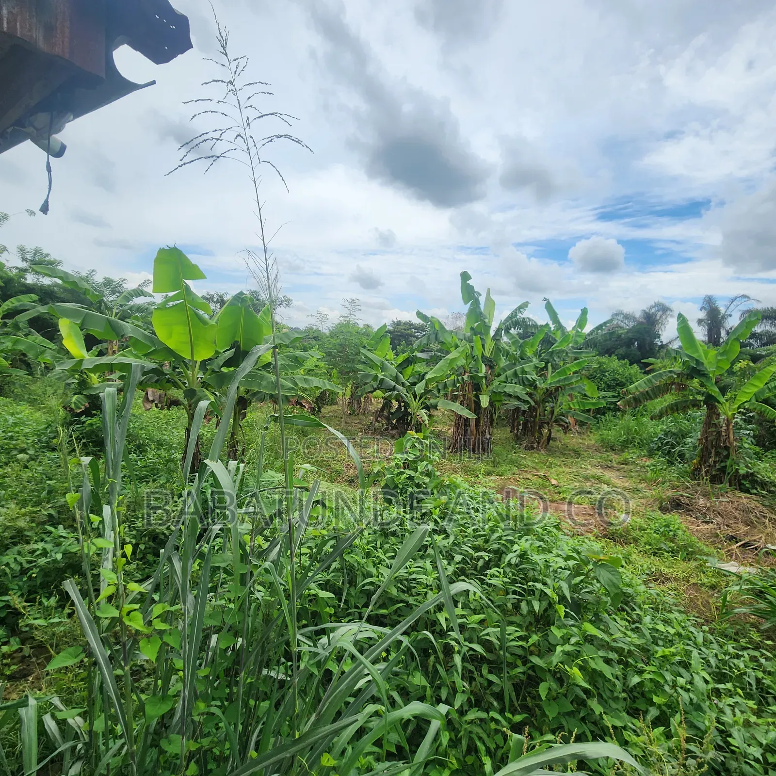 An Acre of Land With 4 Fish Ponds for Lease at Omi Adio Ibadan in Omi Adio