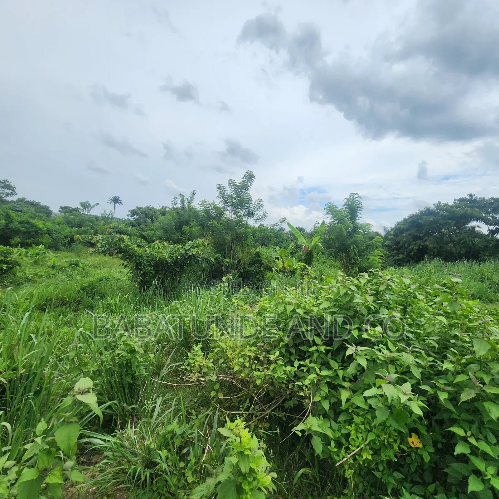 An Acre of Land With 4 Fish Ponds for Lease at Omi Adio Ibadan in Omi Adio