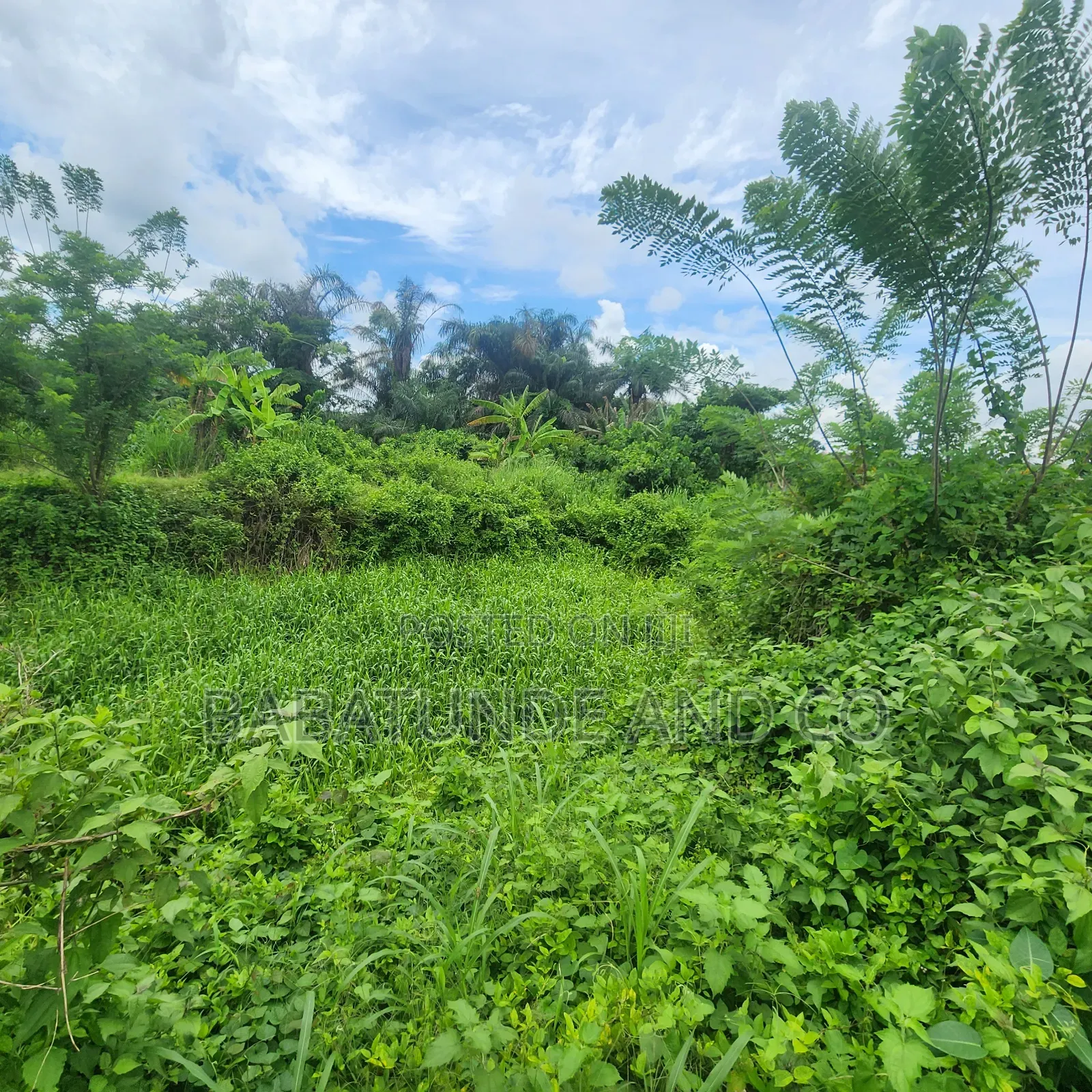 An Acre of Land With 4 Fish Ponds for Lease at Omi Adio Ibadan in Omi Adio