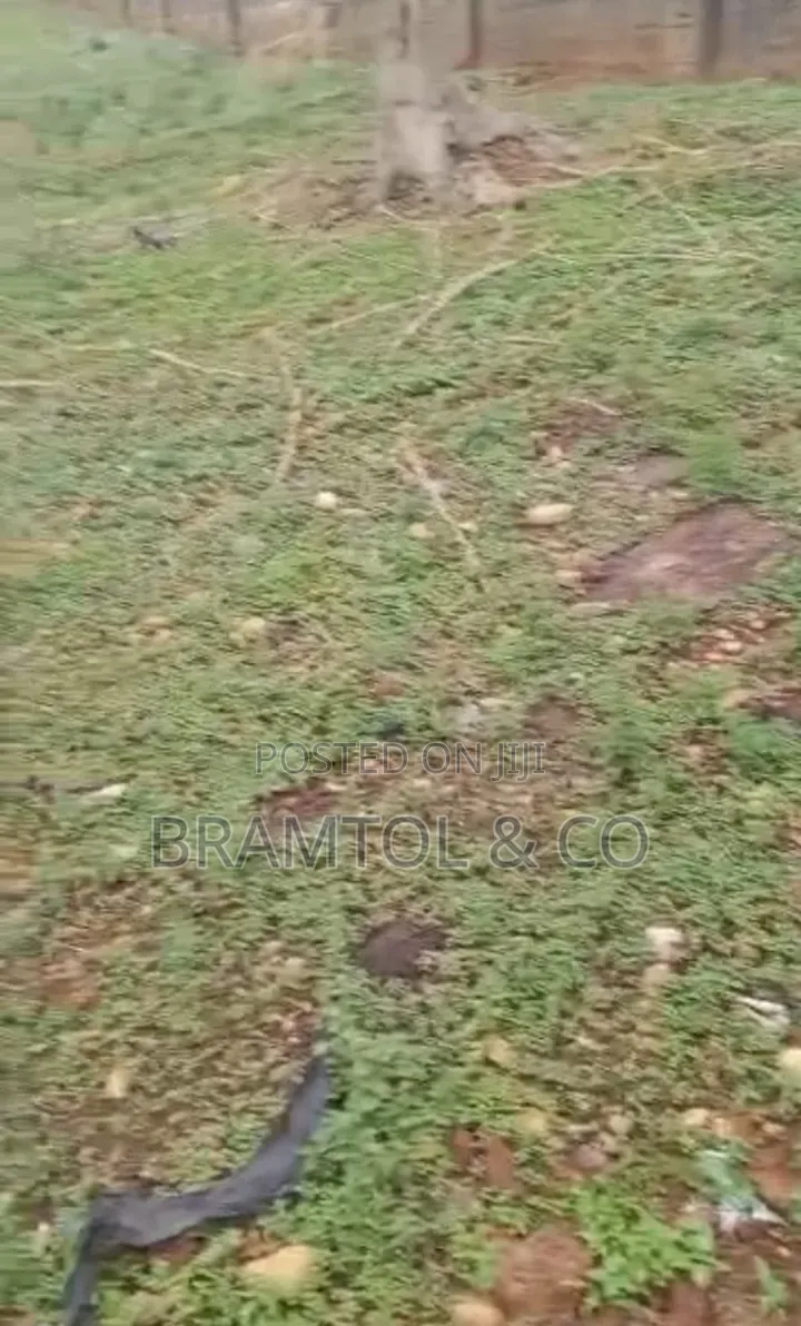 Land for Sale in Karu