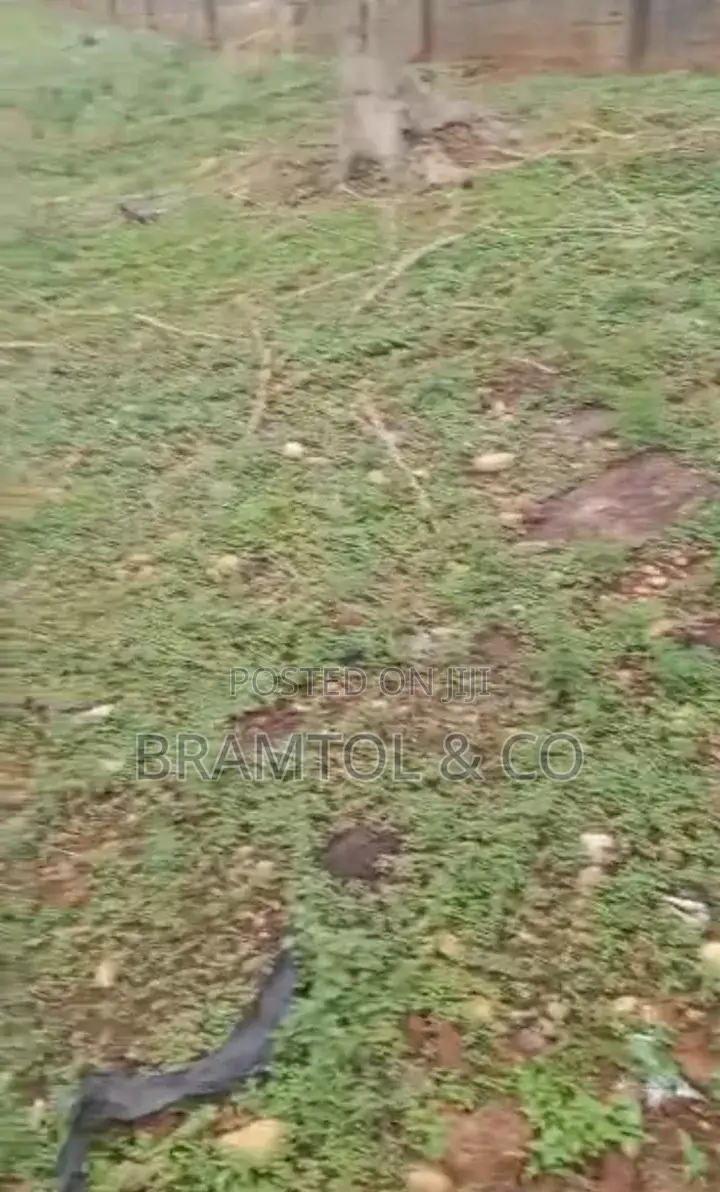 Land for Sale in Karu