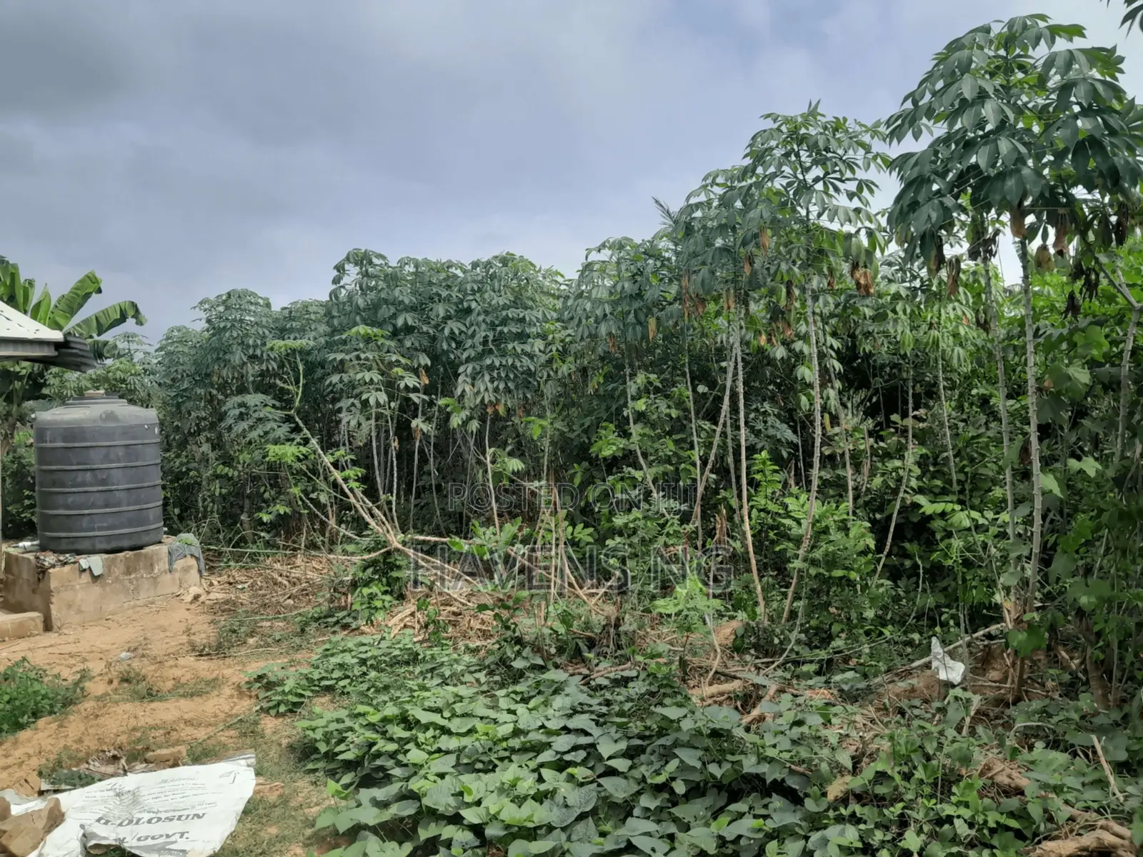 1.3 Plots of Dry Land Available for Sale at Akala Village in Akala Express