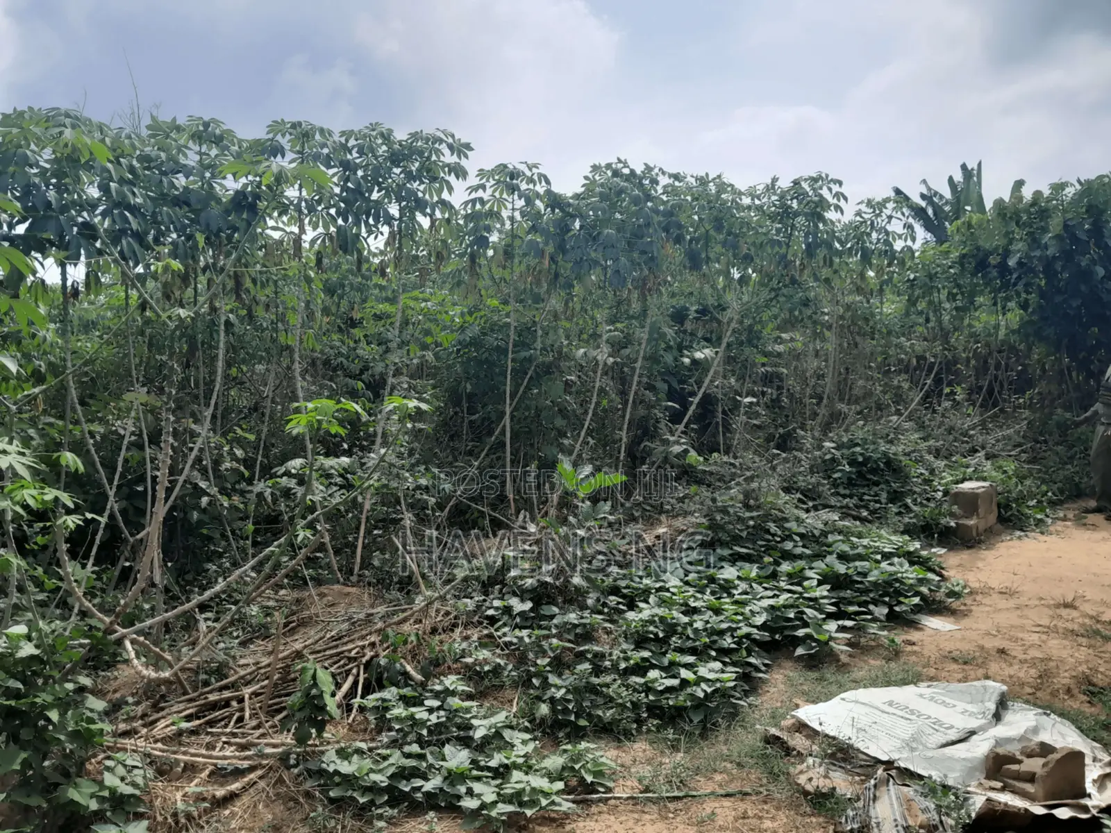 1.3 Plots of Dry Land Available for Sale at Akala Village in Akala Express
