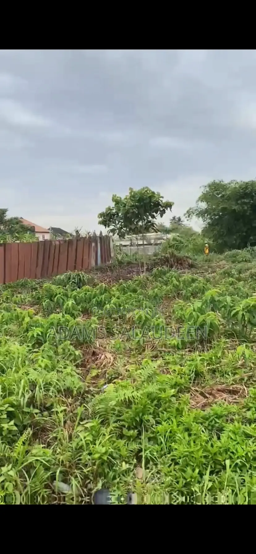 Virgin Half Plot of Land in Abule Egba