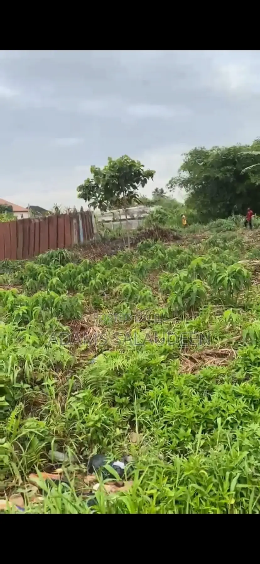 Virgin Half Plot of Land in Abule Egba