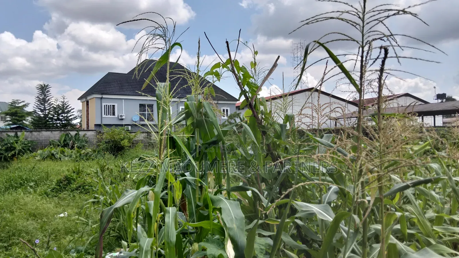 For Sale: 3 Plots at Off Stadium Rd, Near N2 Lounge, Ph in Rumuomasi