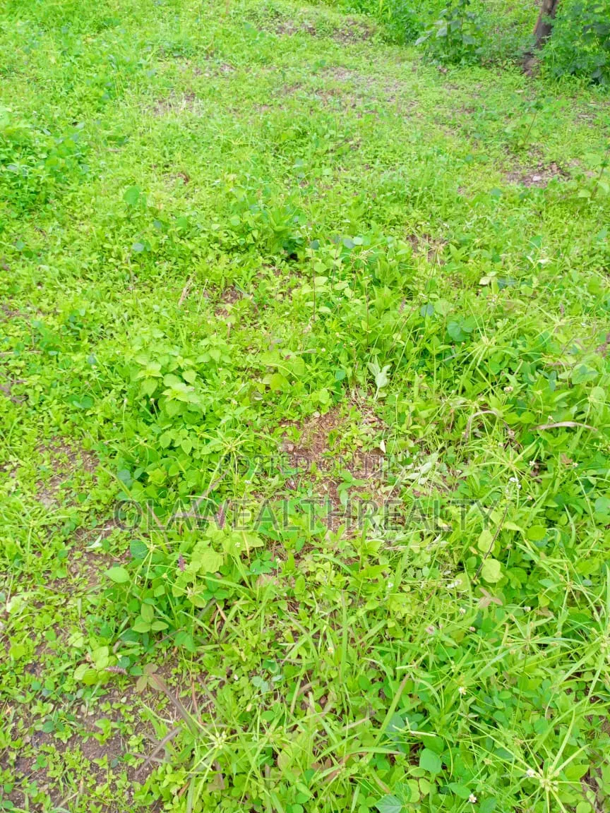 3,576sqm Filling Station Land At Kado in Kado
