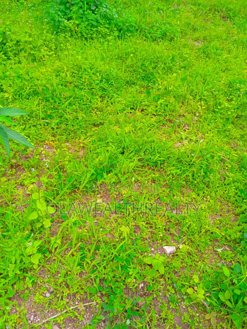 3,576sqm Filling Station Land At Kado in Kado