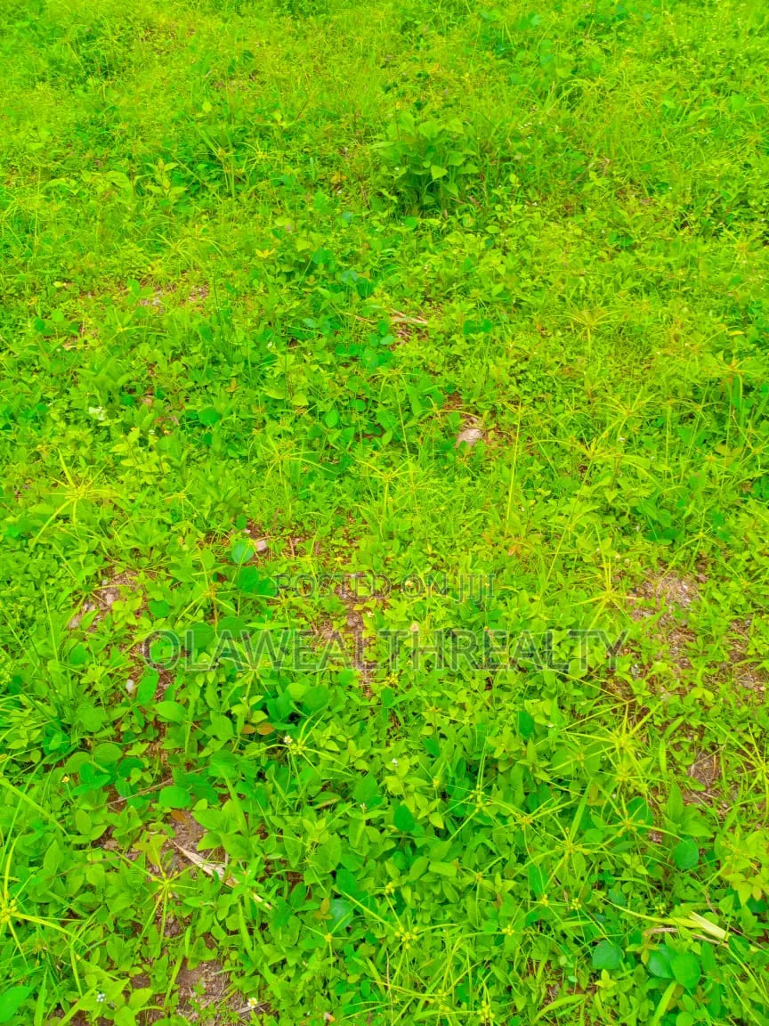 1,117sqm Residential Plot at Maitama 2 in Mpape