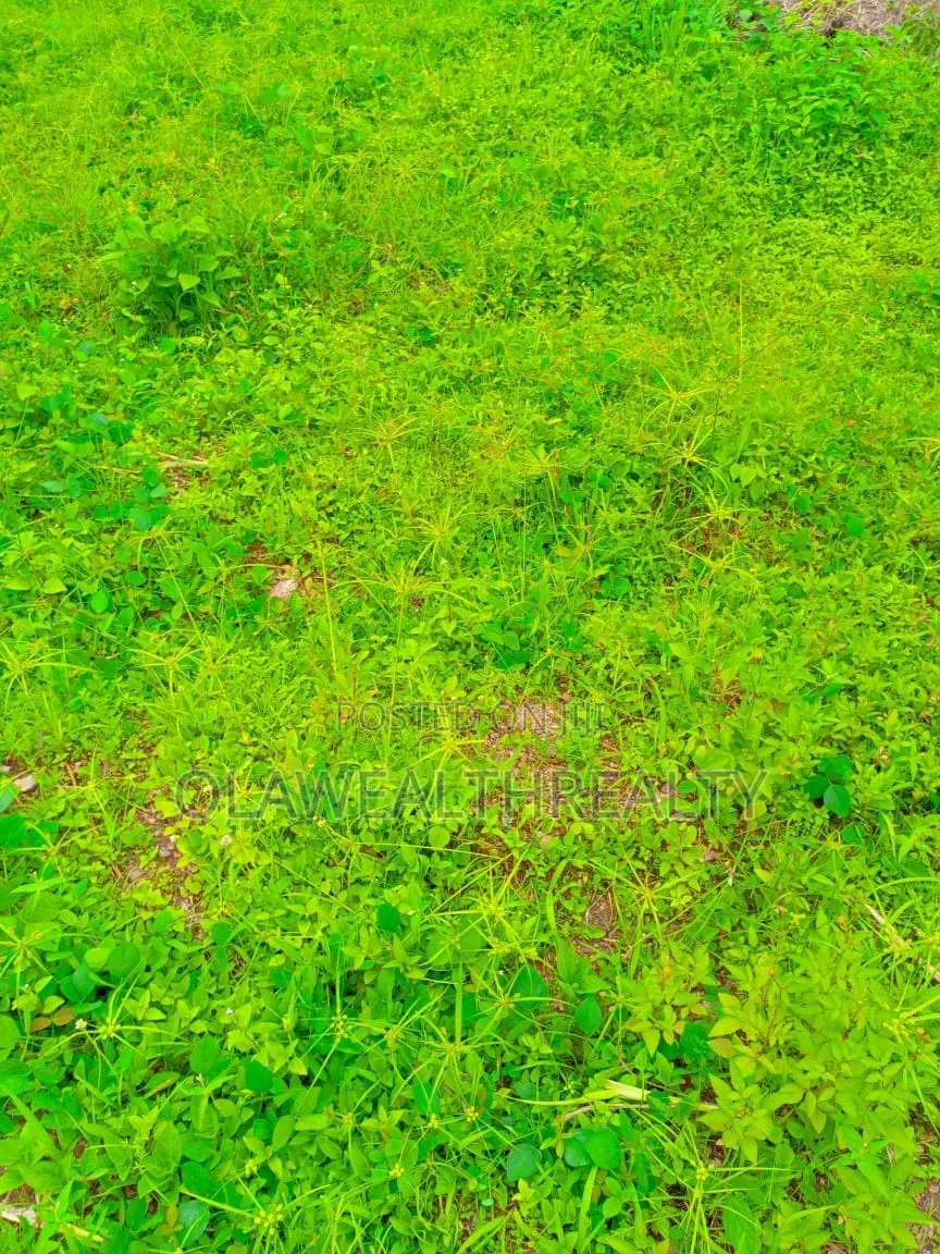 1.76hectares School Land at Kaura in Kaura
