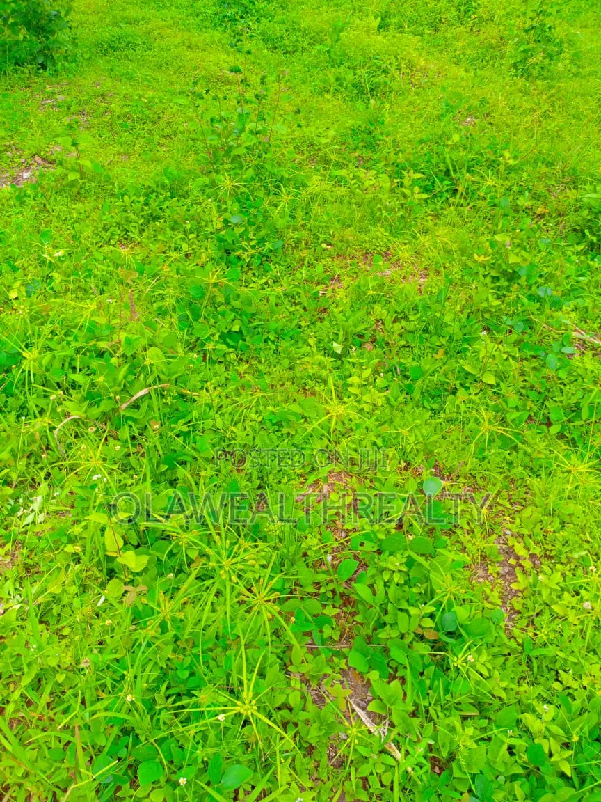 6,322sqm Housing Estate Land at Kagini in Kagini