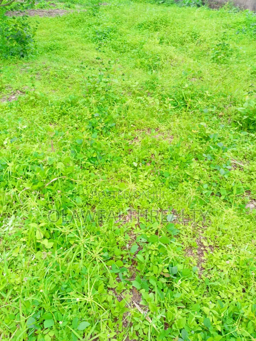 2 Hectares Housing Estate Land at Katampe Main in Katampe (Main)