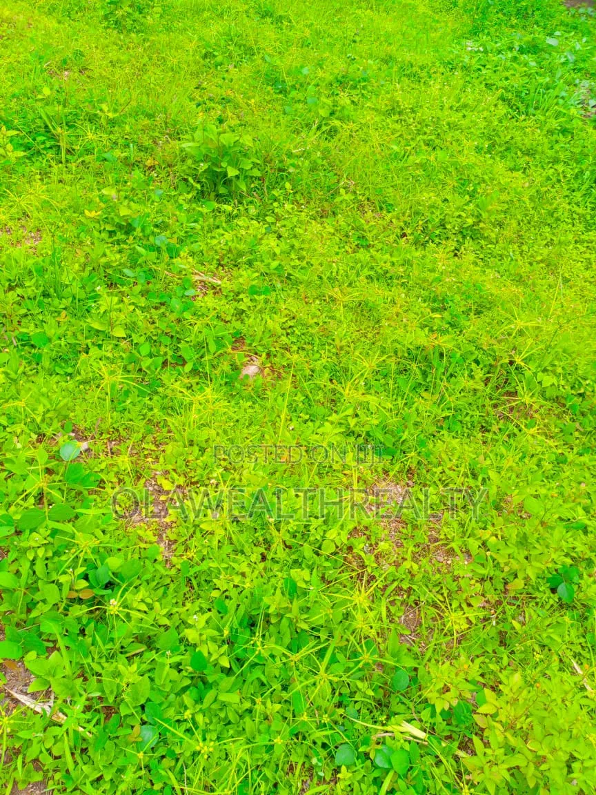 710sqm Residential Land At Oluyole in Oluyole Estate