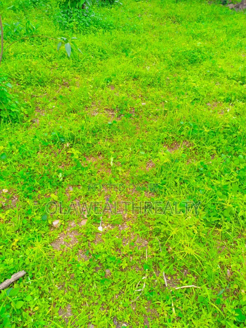 2,225sqm Private Housing Land at Jahi Gilmore in Jahi