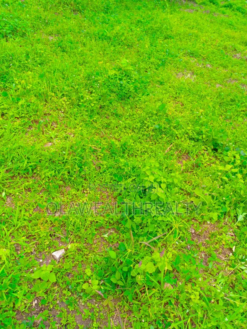 2,225sqm Private Housing Land at Jahi Gilmore in Jahi