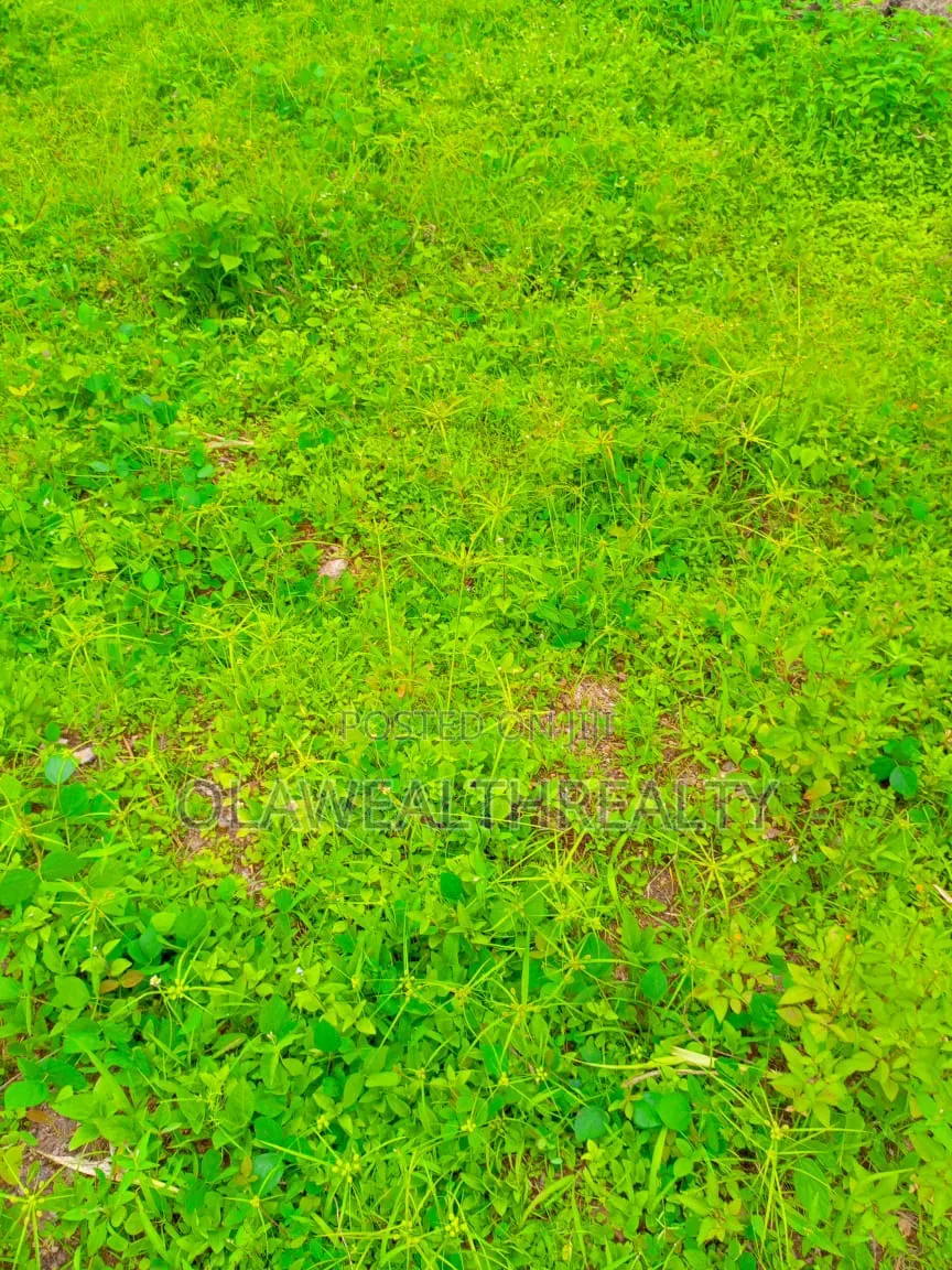 1,300sqm Residential Land at Kolapo Ishola Gra in Akobo