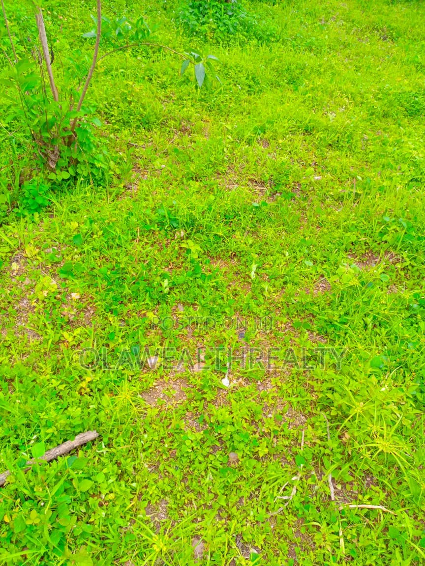 1,300sqm Residential Land at Kolapo Ishola Gra in Akobo