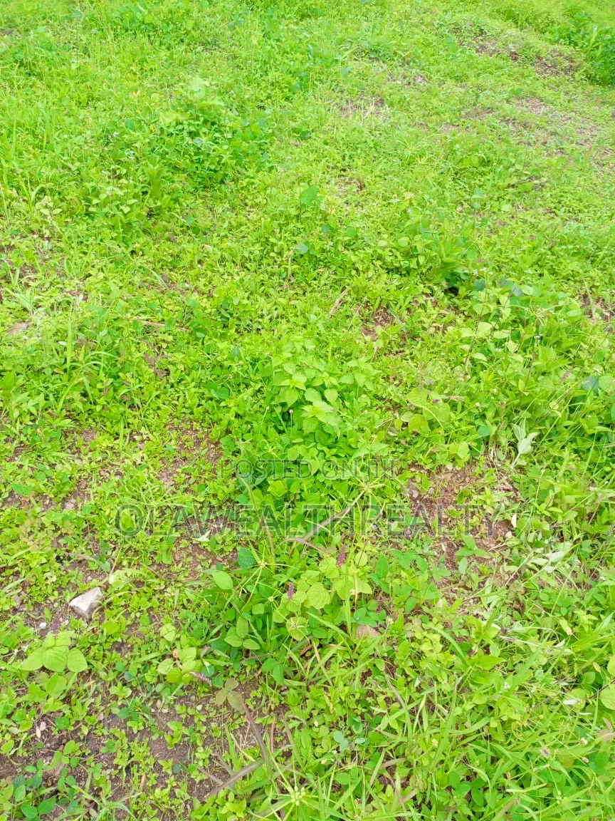 3,600sqm Commercial Land at Katampe Main in Katampe (Main)