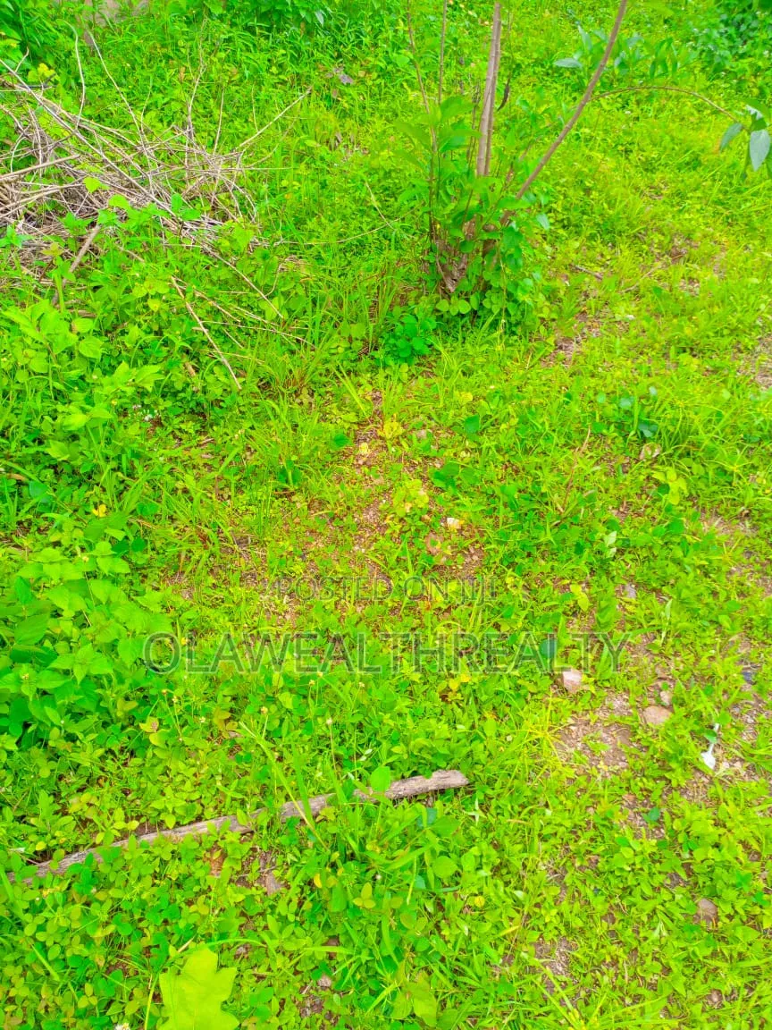 3,600sqm Commercial Land at Katampe Main in Katampe (Main)