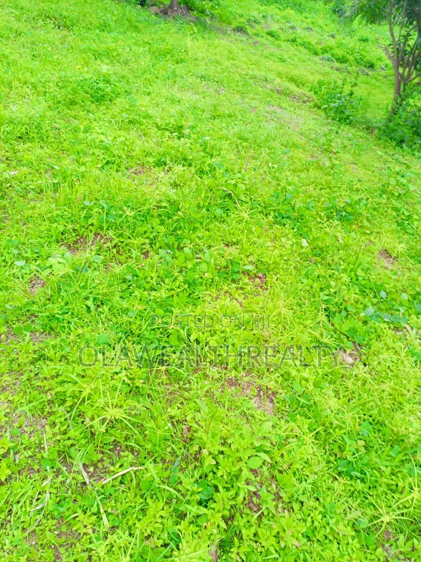 7,000sqm Mixed-Use Development Land at Wasa in Wasa