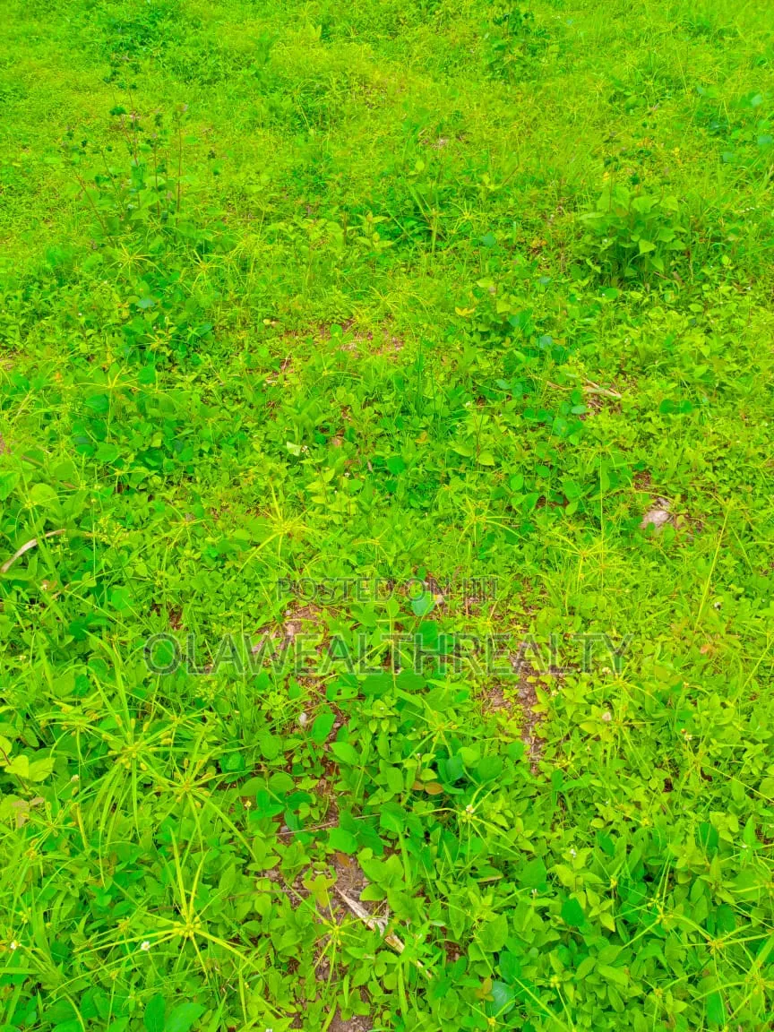 7,000sqm Mixed-Use Development Land at Wasa in Wasa