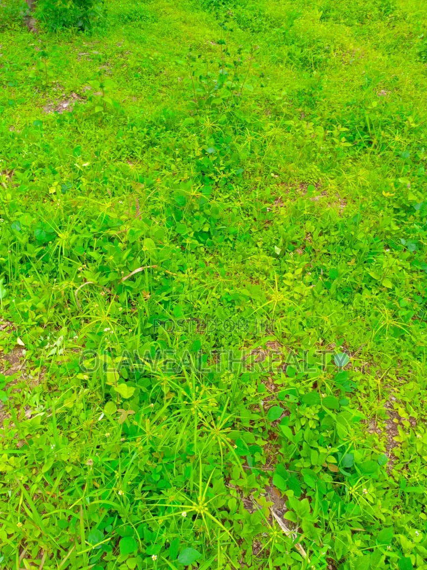 5 Hectares Garden Land at Gudu in Gudu
