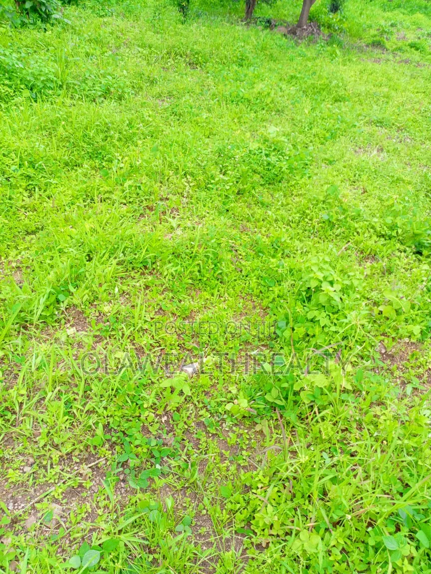 5 Hectares Garden Land at Gudu in Gudu