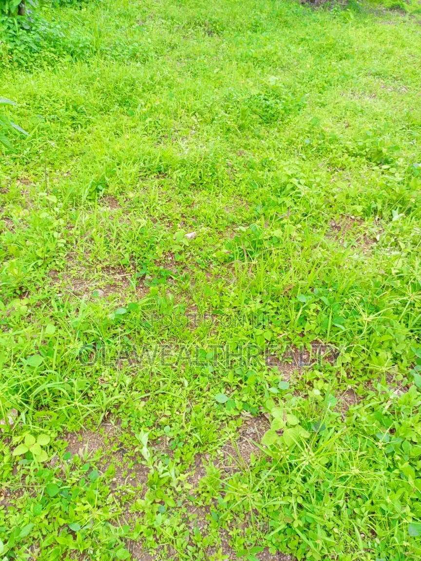 4.5 Hectares Garden Land at Kabusa in Burum