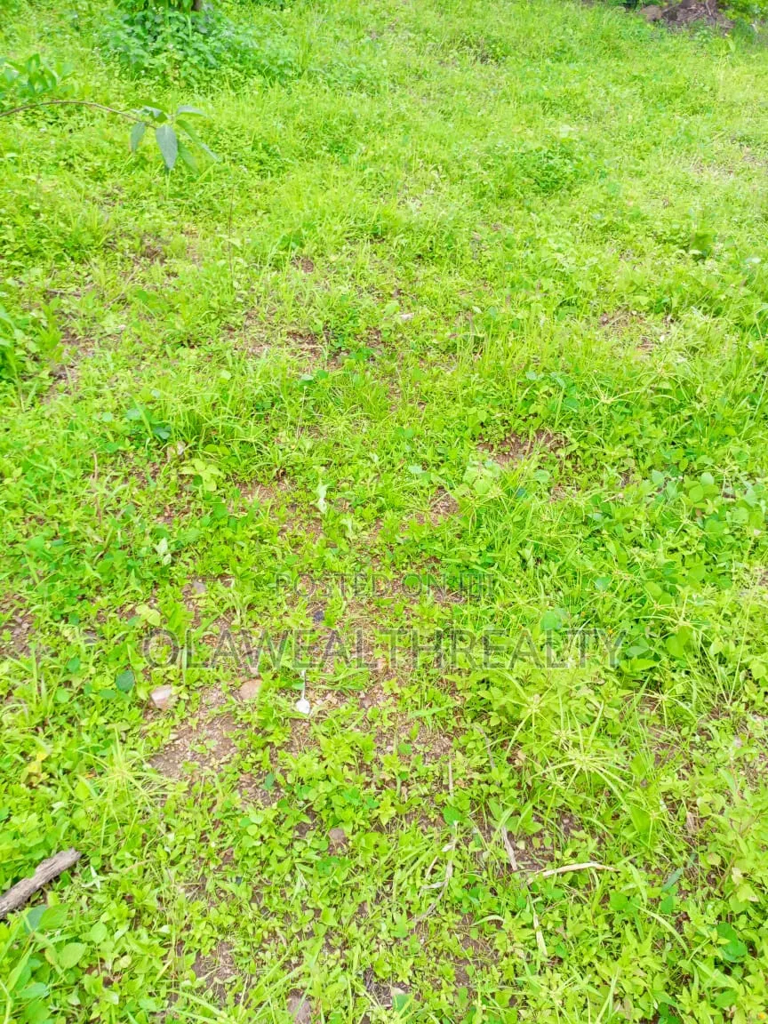 4.5 Hectares Garden Land at Kabusa in Burum