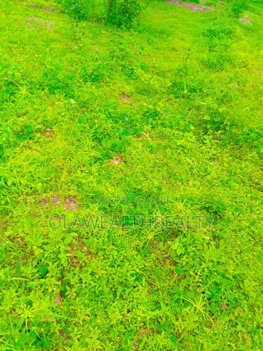20 Hectares Mixed-Use Comprehensive Development Land at Guzape 2 in Guzape District
