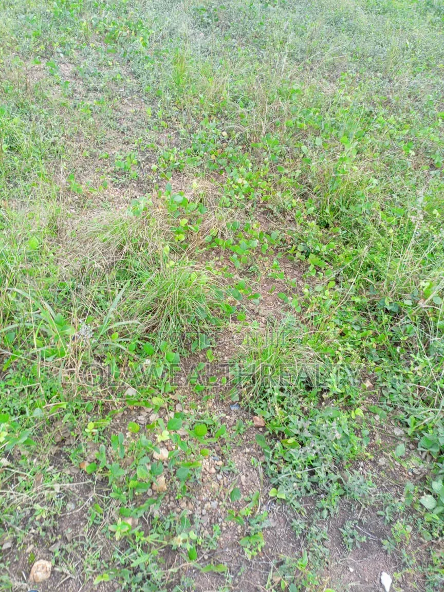 20 Hectares Mixed-Use Comprehensive Development Land at Guzape 2 in Guzape District