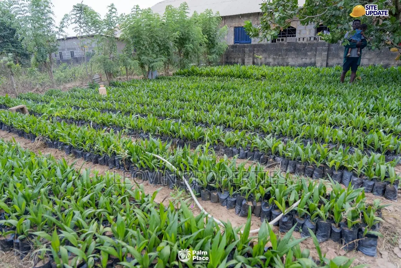 Farmland for Sale in Abeokuta | Ìtura Farms Nature Resort in Abeokuta North