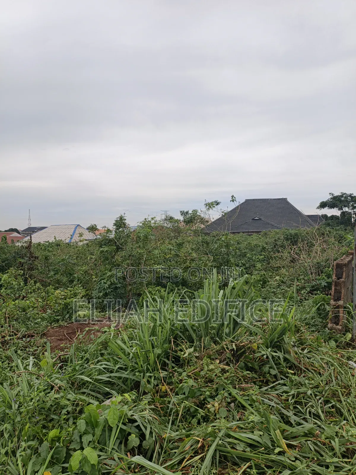 3 Acre Together Selling Per Plot at Parkview Estate,Off Ijede Ikorodu in Ijede / Ikorodu